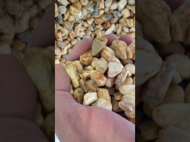 Vídeo relacionado con Amtra Gravel Noa, Grava Natural Para Acuarios, Piso Decorativo, Granos Gruesos Blancos De 4-8 Mm, Formato 2 Kg