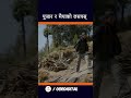 PUJAR SARKI || Nepali Movie Trailer || Aryan Sigdel, Pradeep Khadka, Paul Shah, Anjana, Parikshya