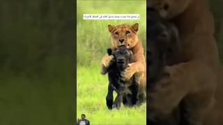 مفاجئة صادمة حين تكون العين ساهرة 😱#shorts