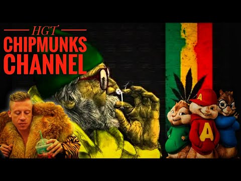 Smoke Weed Everyday X Thrift Shop - HGT Chipmunks Channel