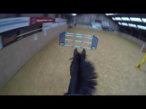 GoPro horse jumping up to 150 cm - Ride with me