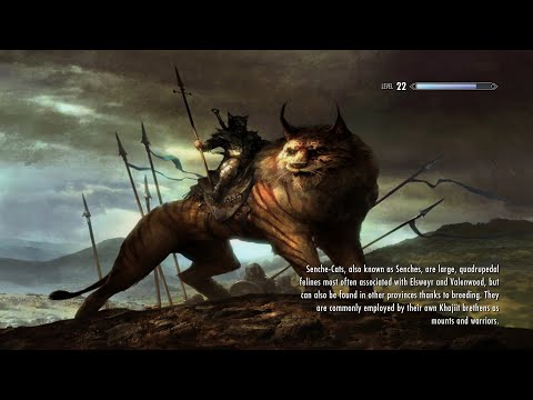 The Witcher in Skyrim part 26: Recruiting The Dawnguard