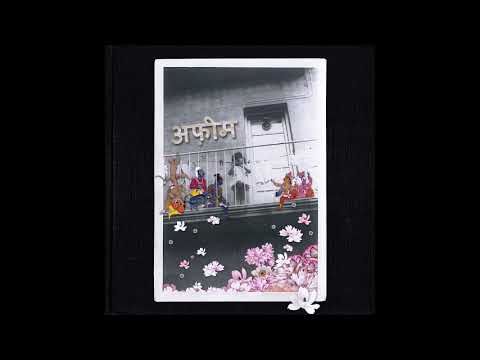 Hymenoepimecis argyraphaga - Viszmund