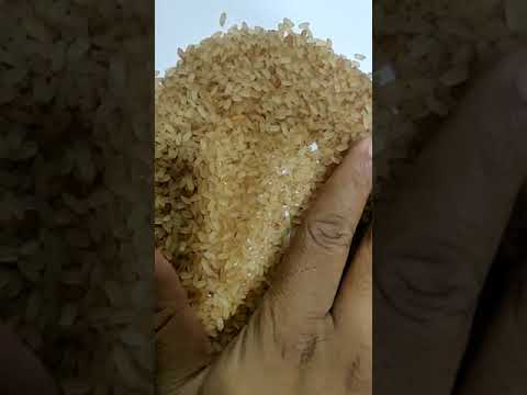 Palakkadan nutrition energy jyothy matta rice or vadi matta ...