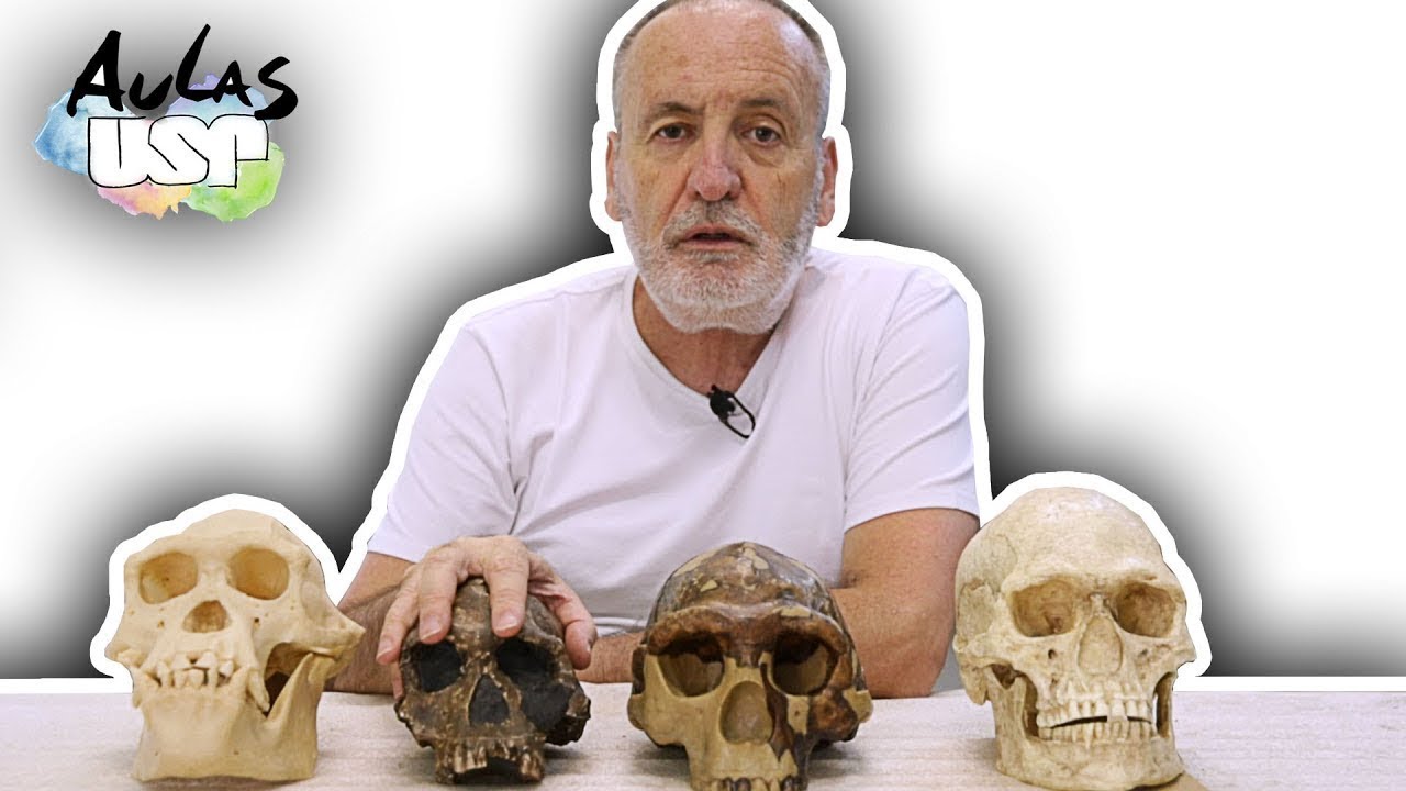 A Saga da Humanidade -- Aula 5 (Ardipithecus ramidus)