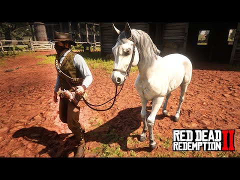 ROUBANDO os CAVALOS PURO SANGUE ÁRABES dos BRAITHWAITES - Red Dead Redemption 2