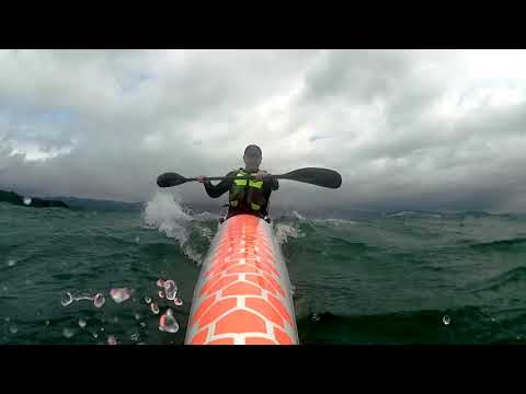 Petone to Eastbourne Downwind Day