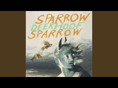 Sparrow Sparrow
