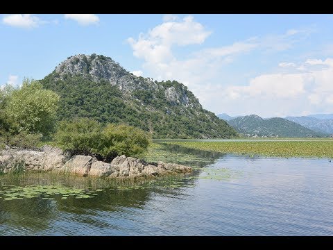 Montenegro Blames Albania for Fish Stocks Plummeting on Skadar Lake
