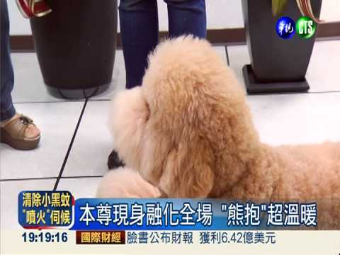 飯前會禱告 狗兒子療癒人心