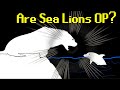 Seal Vs Sea Lion Who Would Win
