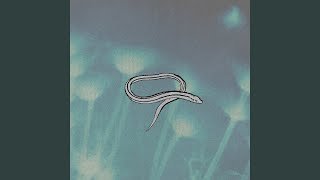 Doctors of Deliverance (Demo)