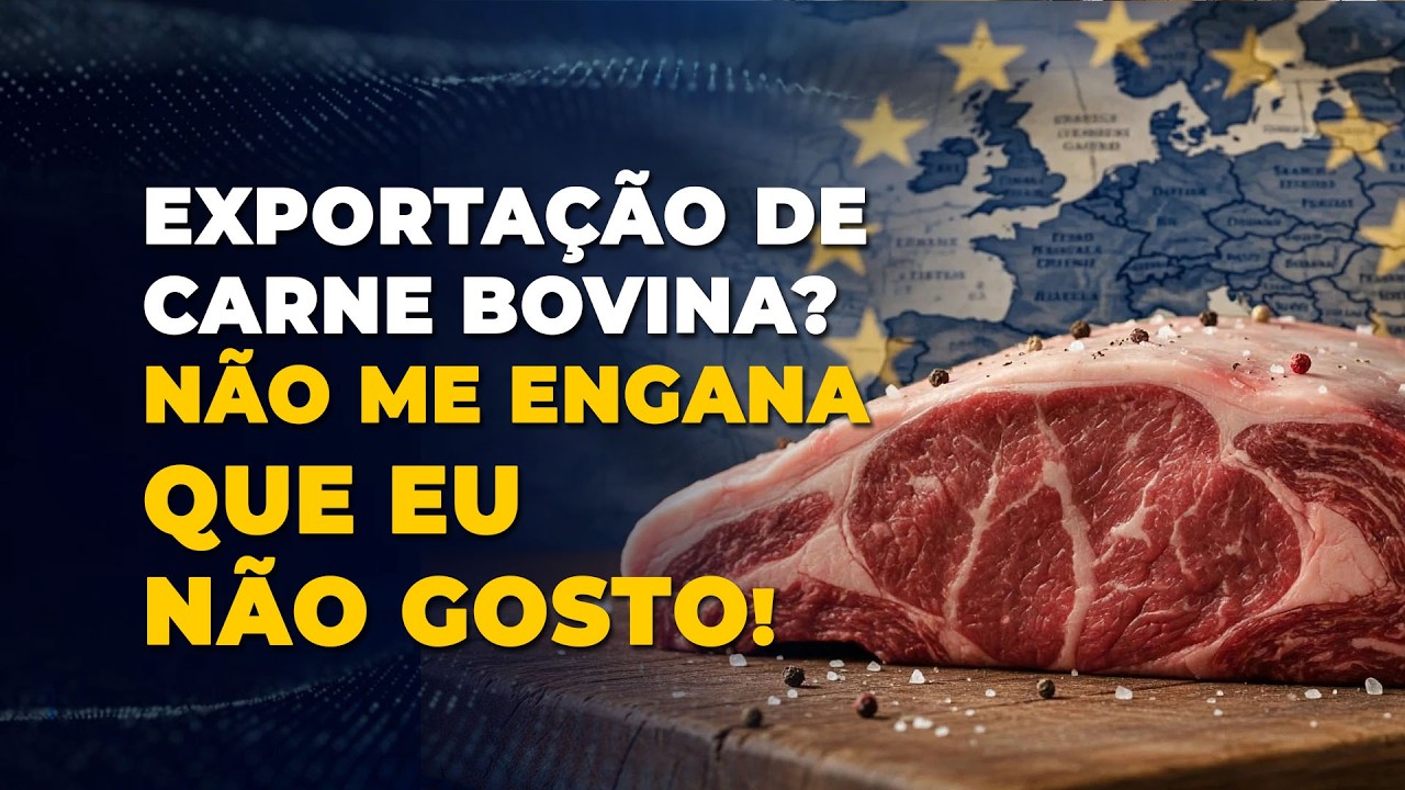 EXPORTAÇÃO DE CARNE BOVINA? NÃO ME ENGANA QUE EU NÃO GOSTO!