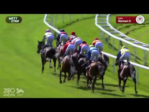 Schwarzgold-Rennen - Gruppe 3