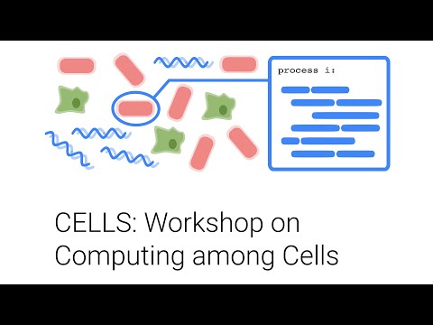 Engineered Gene Circuits: From Clocks To Tumors And Small Ecologies (Jeff Hasty)
