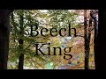 Beech King Original Song Copyright 2024 All Rights Reserved