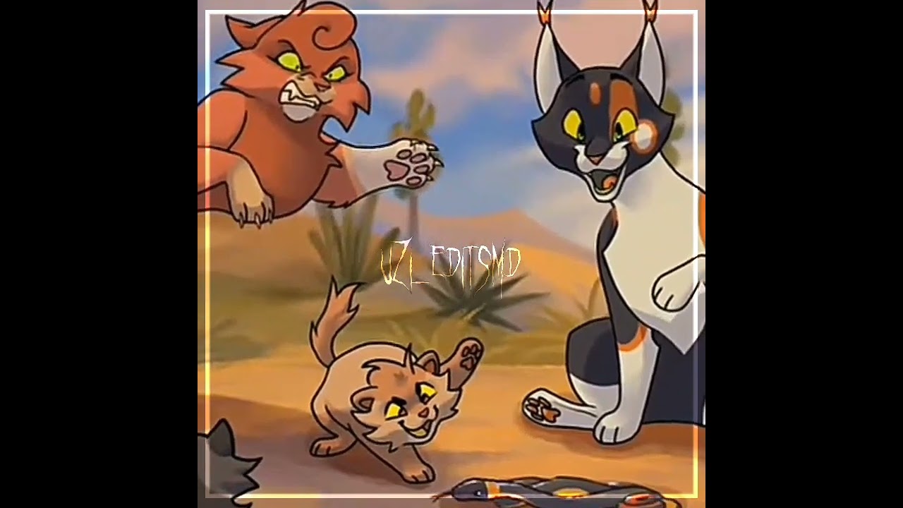 poor sol #warriorcats