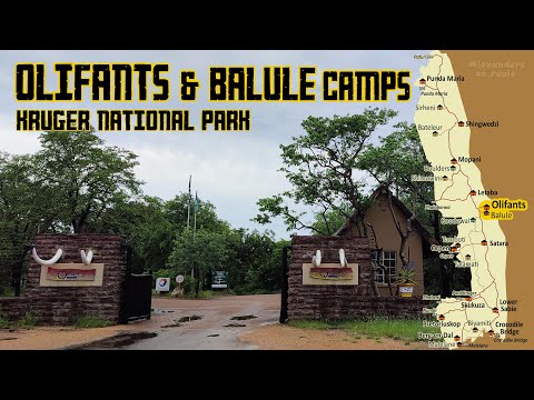 Kruger National Park: Olifants Rest Camp & Balule Satellite Camp