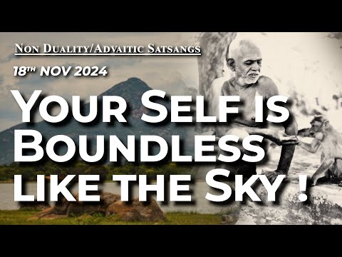 739. Bhagavan Ramana Satsang - Your Self is boundless like the sky