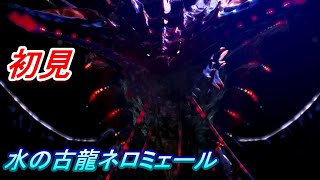 ネロミェールがヌメヌメでナマコはえた【モンスターハンターワールドアイスボーン新天地で狩猟生活】