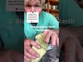 Cat reacts to Flea Medication: Try these Natural Remedies