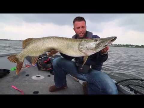 Den Meterhecht auf der Spur#Freiwasserangeln#Shallow-Rig#Swimbaits Online Guiding Part#9