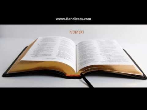 Biblia la rand: Numeri capitolul 24
