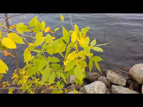 2018.10.01 Cedar Spring Trails 3