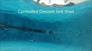 Pool View Controlled Descent Jerk Shad Float Suspend Sink
