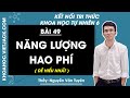 Khoa học tự nhiên 6 Bài 49: Năng lượng hao phí - trang 171, 172 | Kết nối tri thức