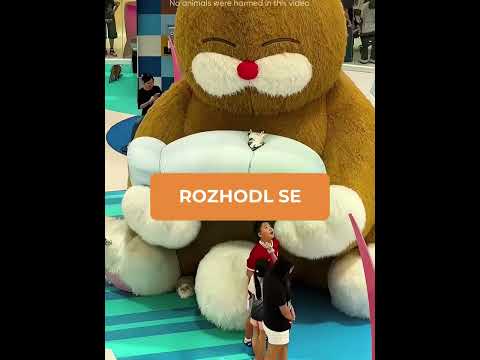 Kotě se setkalo s obřím plyšovým medvědem. #shorts #zajimavosti