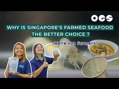 Why Is Singapore’s Farmed Seafood The Better Choice?