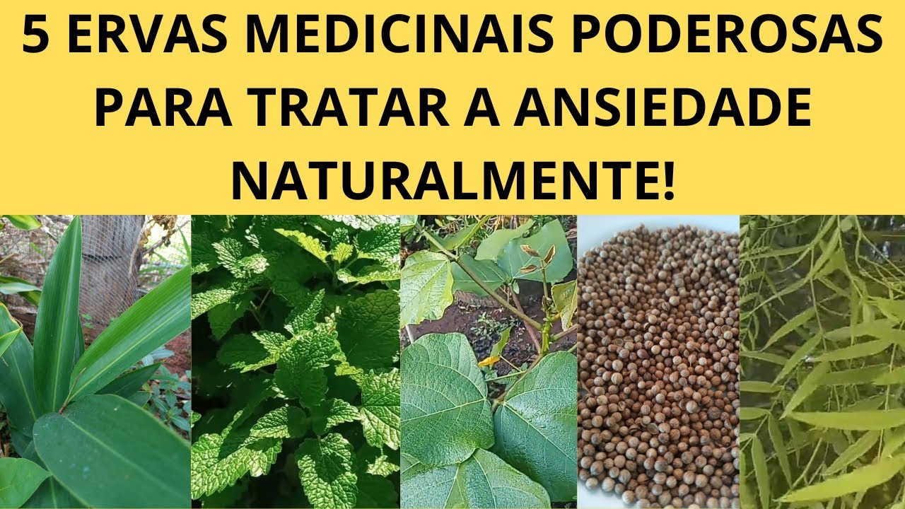 5 ERVAS MEDICINAIS PODEROSAS PARA TRATAR A ANSIEDADE NATURALMENTE!