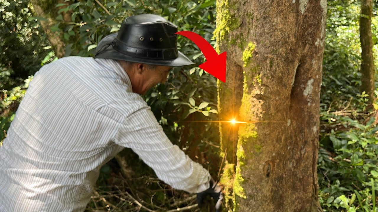 Nossa esperança estava perdida mais a BELINHA desvendo o mistério!!!