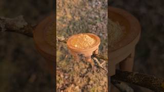 Kava Kava - Balanced instantní 250 g