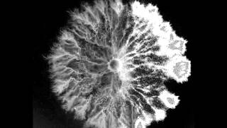 Amygdala - "Autophagia"