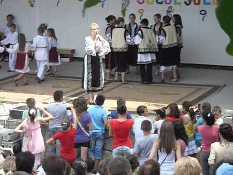 Voie buna la Lunca Banului