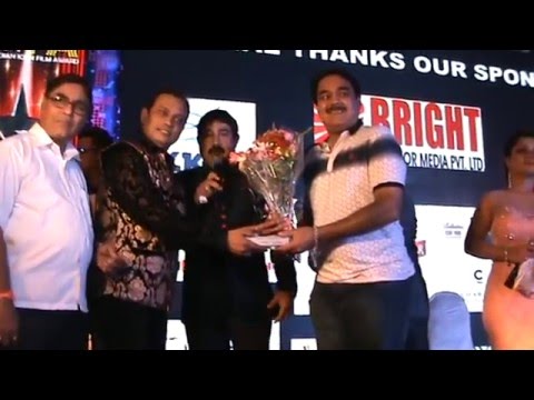 "TIIFA" THE INDIAN FILM AWARDS - 2015