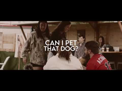 The MC Type and 2 more