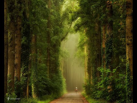 LA GEOBIOLOGÍA. UN CAMINO DE EVOLUCIÓN. Por Daniel Rubio