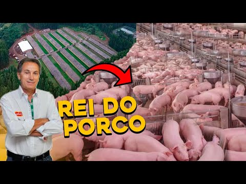 , title : 'Esse é o MAIOR criador de PORCOS do BRASIL! - Conheça o Rei dos Suínos!'