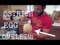 Ostrich Egg Omelette!