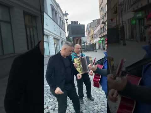 Lucian elgi - sunt vagabontul vietii mele