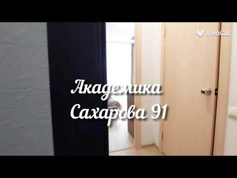 Небольшая уютная студия в Академическом — xl.webp