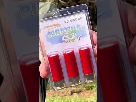 Shooting PIRANHA shotgun shells