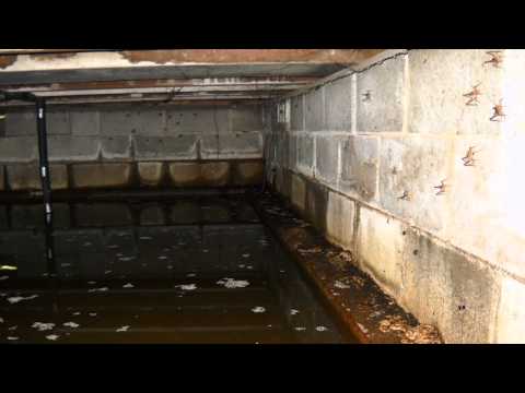 Are Dirt, Vented Crawl Spaces a Health Hazard? | Ask the Expert 