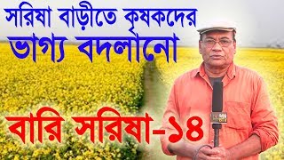 আধুনিক পদ্ধতিতে সরিষা চাষ||কি ভাবে সরিষা চাষ করবেন||