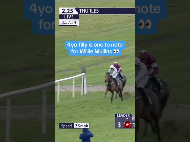 Thumbnail for Post ID: UeN8h-hnEBs