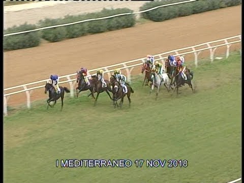 Galoppo Corse del 17 Novembre 2018