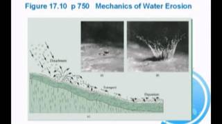 Forest Soils - Soil Erosion